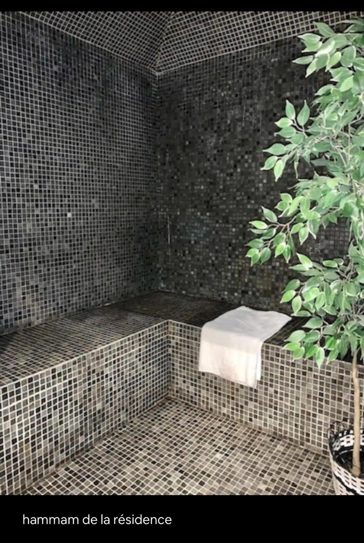 Appartements Avec Piscine Interieure Sauna Parking Etage 1 Au Centre Du Village Dans Residence Cami Real Saint-Lary-Soulan Eksteriør bilde